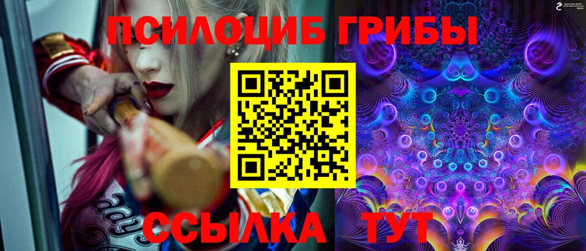 Псилоцибиновые грибы прущие грибы  Вход с VPN  Галлюциногенные грибы мицелий  Звенигород 